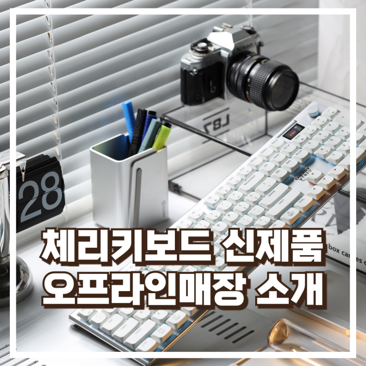  체리키보드 오프라인매장 CHERRY 신제품 E스포츠 추천