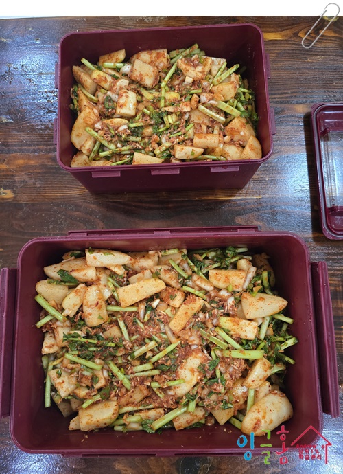  필리핀유학 일기 – 또 비야... 어제도 오늘도 휴교령