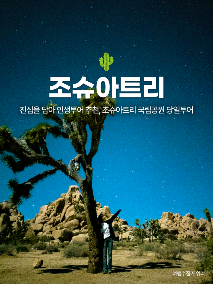  LA 조슈아 트리 국립공원 인생 투어 후기
