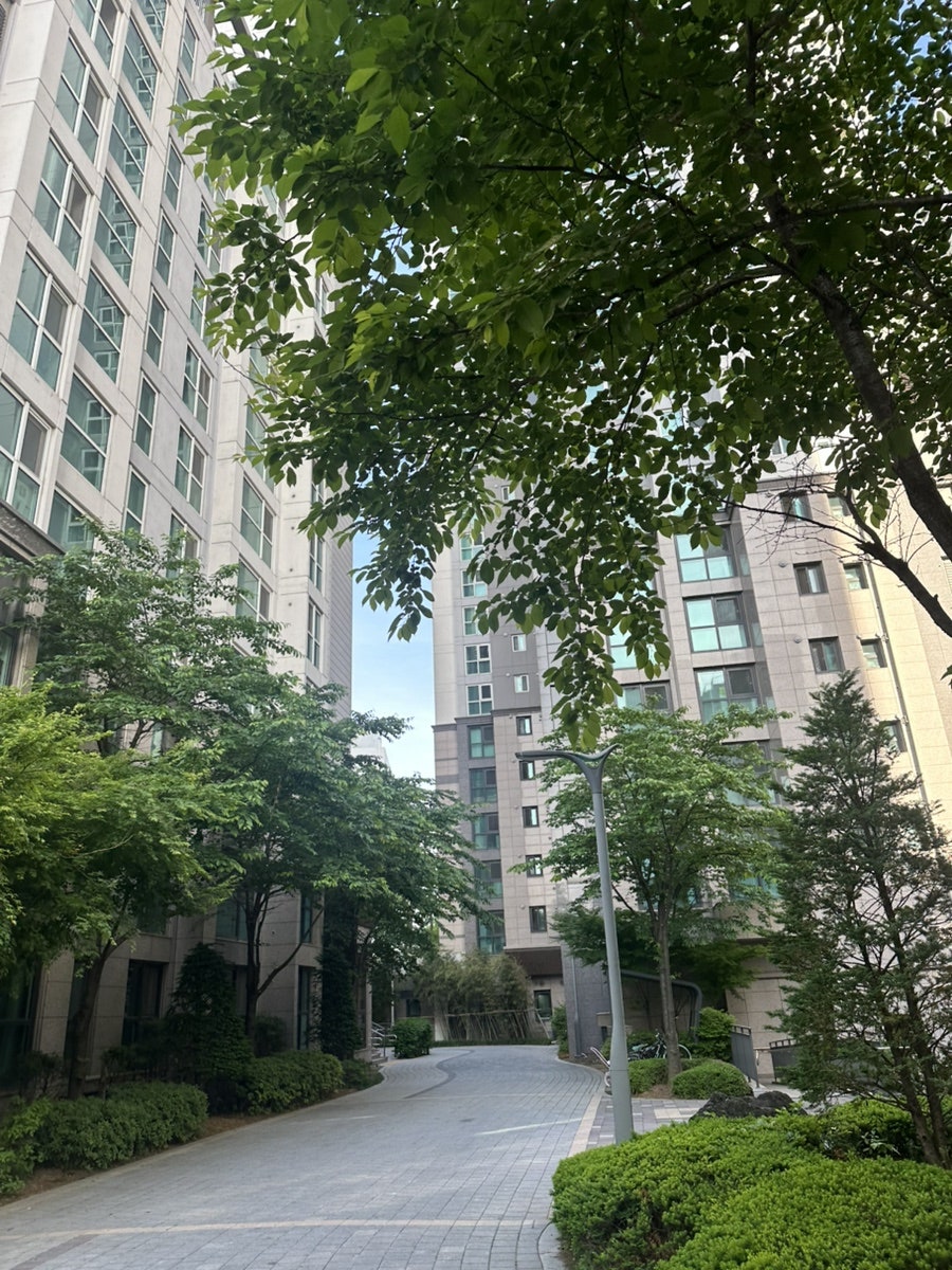 코코브커피 마포 사진 5