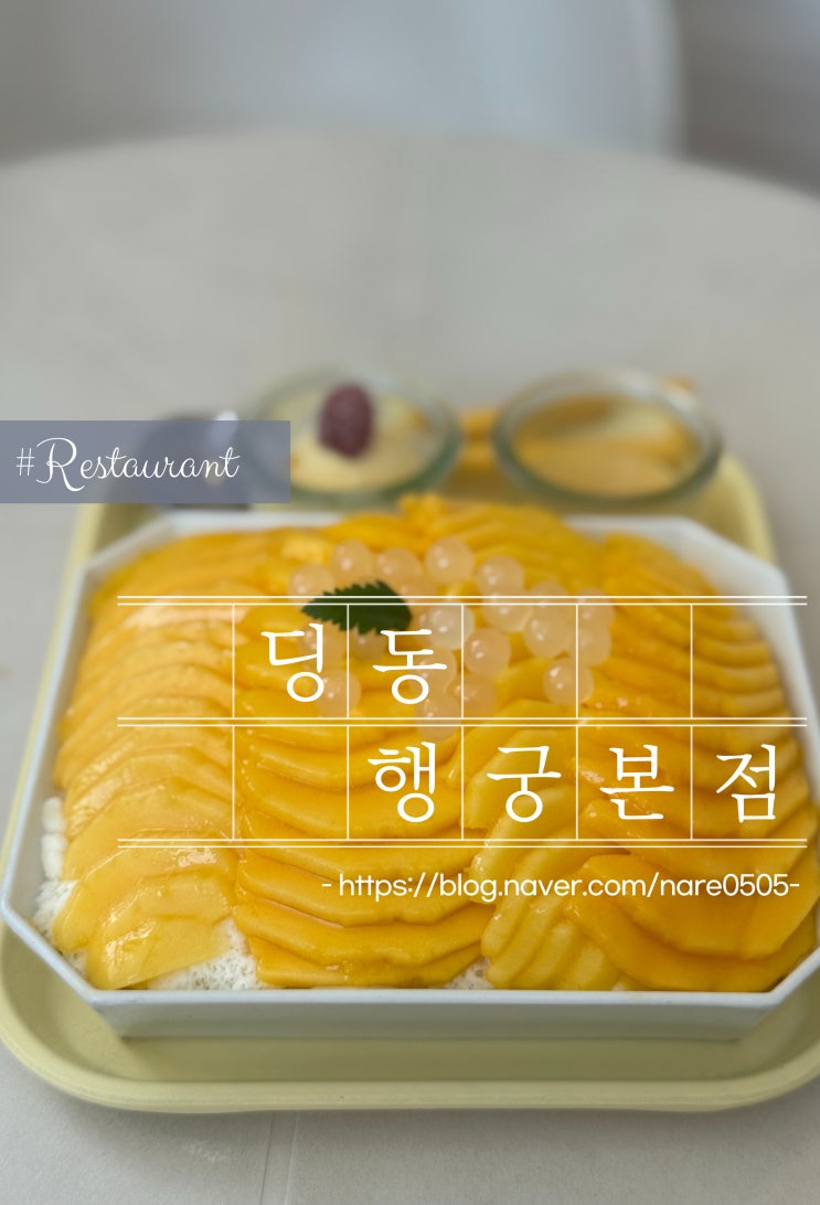 수원 행궁동 애견동반 신라호텔 부럽지 않은 망고빙수 맛집 딩동 행궁본점