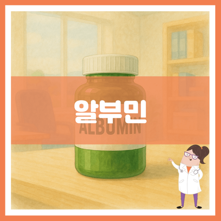  알부민 효능 섭취방법 부작용