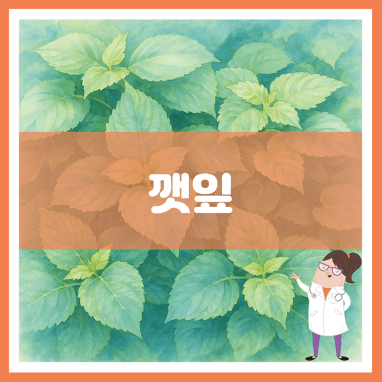  깻잎 효능 부작용 보관방법