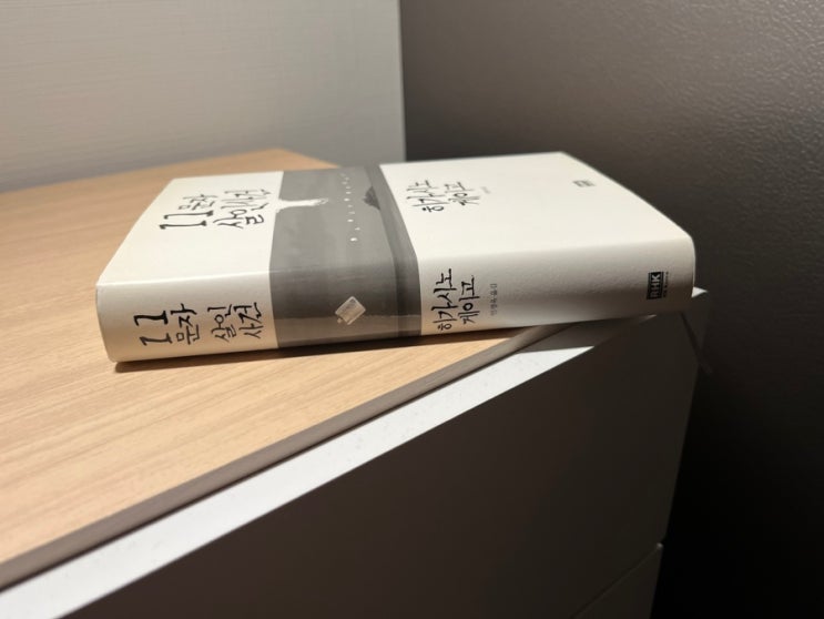  11문자 살인사건 인물 및 줄거리 소개 서평