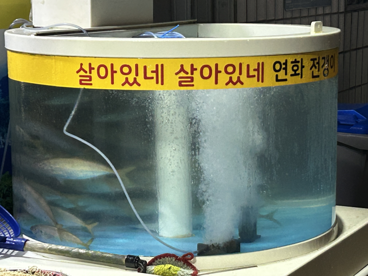   [통영 연화고등어와전갱이] 통영 토박이 둘이서 소주 5병이면 말다했지뭐