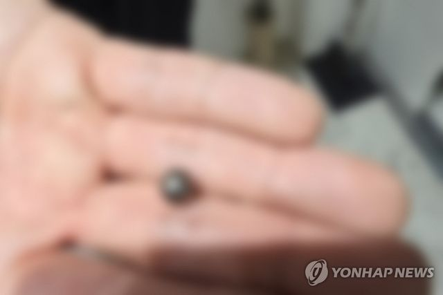  생일상 차려준 아들 사제총기로 살해한 60대 신상 미공개 가닥