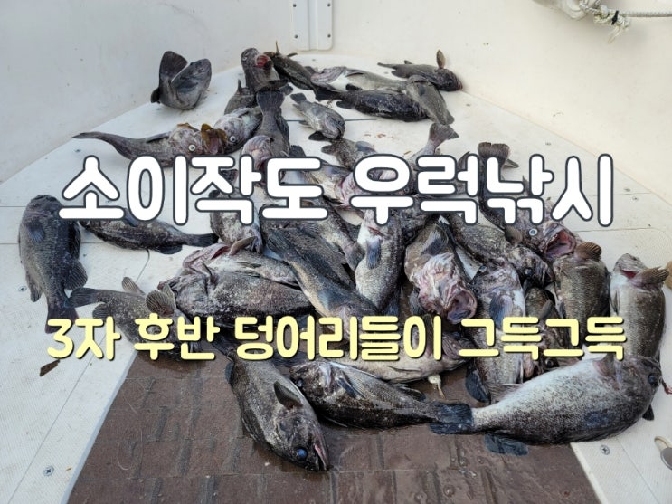  소이작도 야간 우럭캐스팅 덩어리우럭 손맛