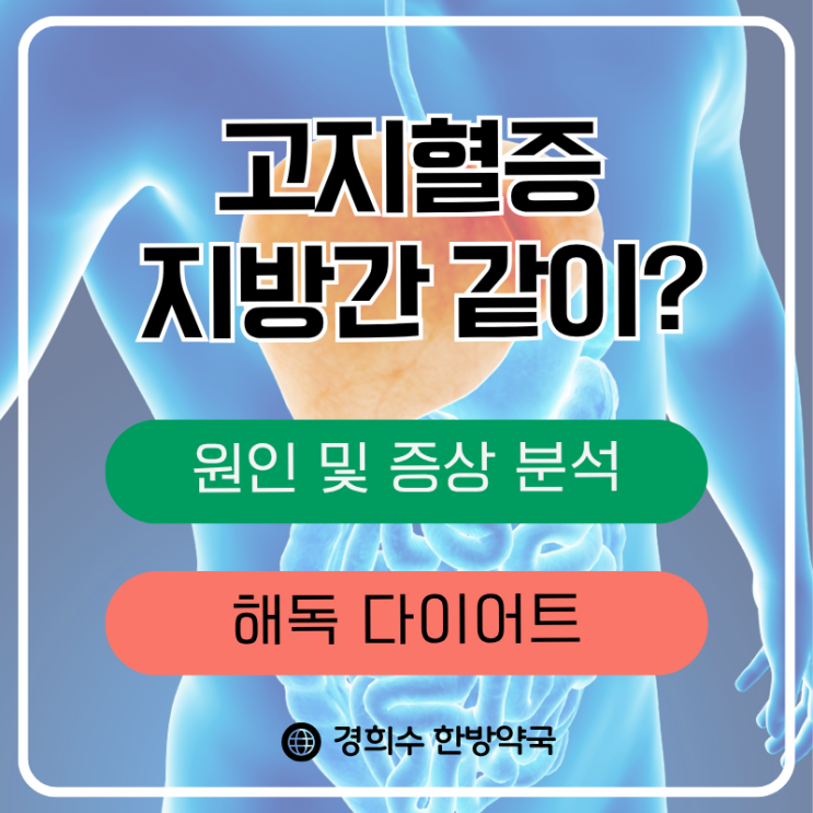  고지혈증과 지방간, 왜 같이 찾아올까요? 원인 및 증상 분석 해독 다이어트
