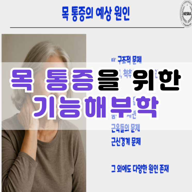  만성 목 통증을 위한 기능해부학 줌 세미나 후기
