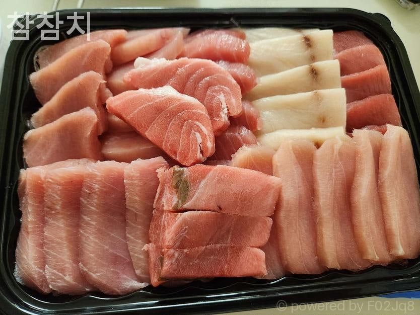 참참치 사진 3