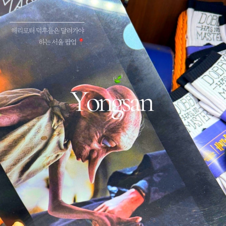  용산 해리포터 팝업 ㅣ 마호도코로 스토어 ㅣ 니플러가챠 ㅣ 8월 서울 팝업