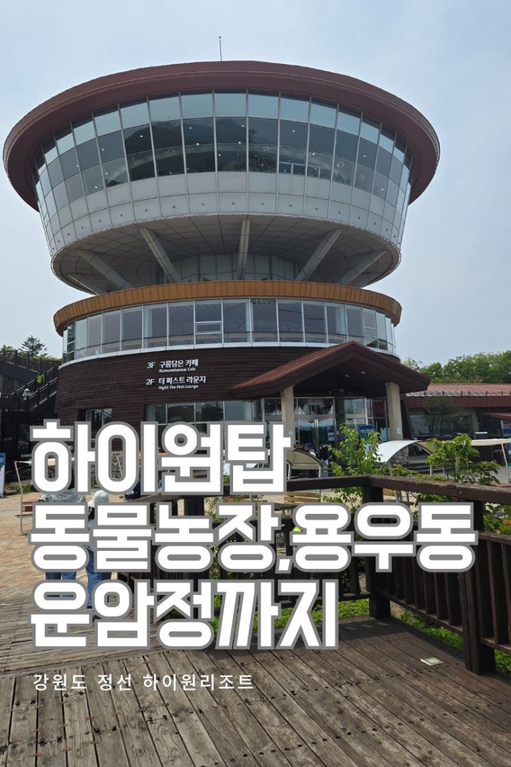  [강원도 정선] 가족여행 코스-하이원리조트 케이블카부터 동물농장,하이원탑까지