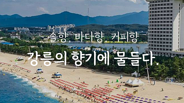 vlog 강릉여행, 아르떼 뮤지엄, 목호역, 동해바다
