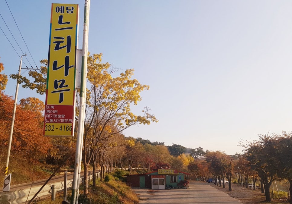 느티나무집 사진 3
