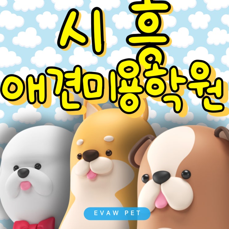  시흥애견미용학원 국비보다 간편하고 혜택이 큰 장학지원