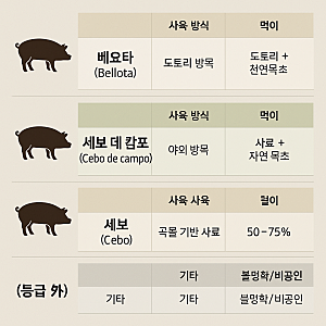 이베리코 뜻 등급  세보 데 캄보 베요타