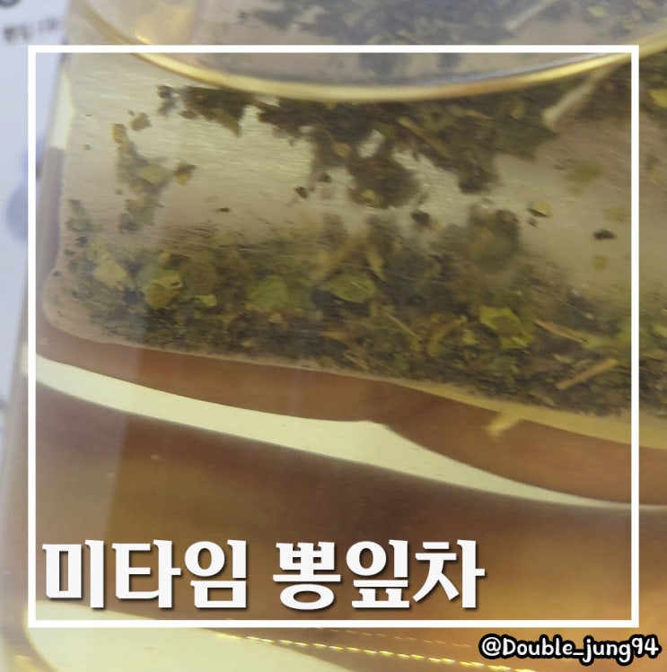  더운 여름 시원하게 마시기 좋은 미타임 뽕잎차