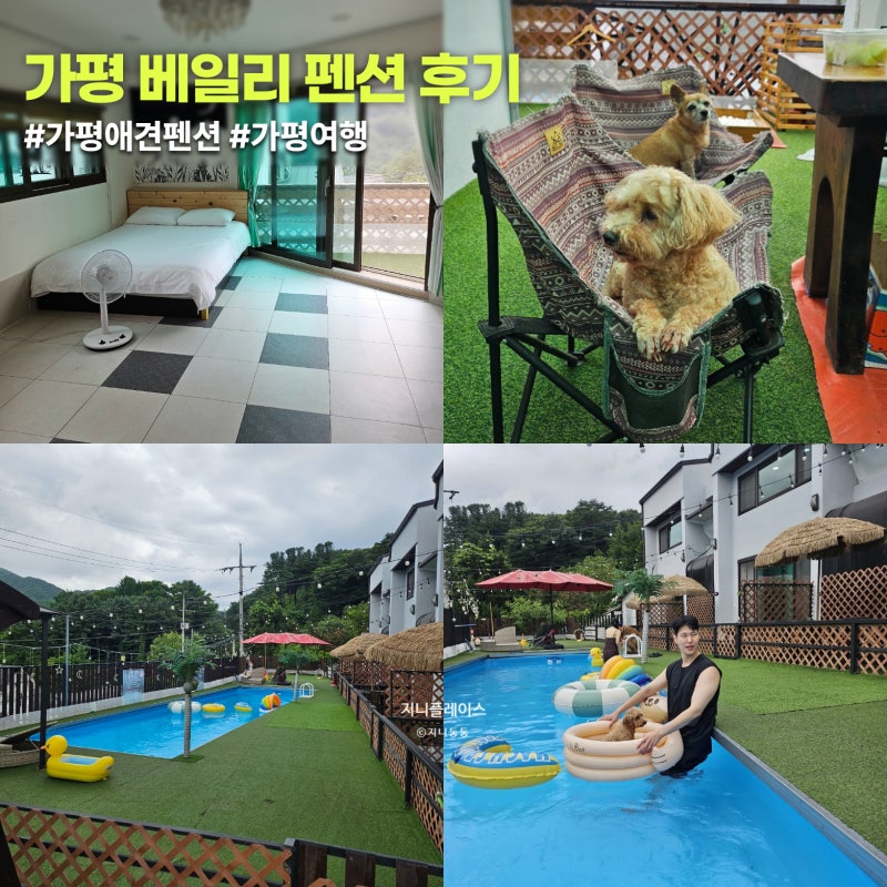 사진 10