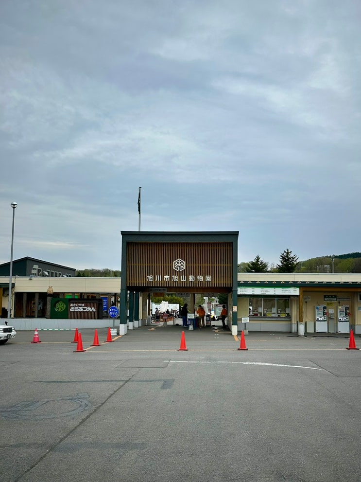  아이들과 아사히야마 동물원 후기