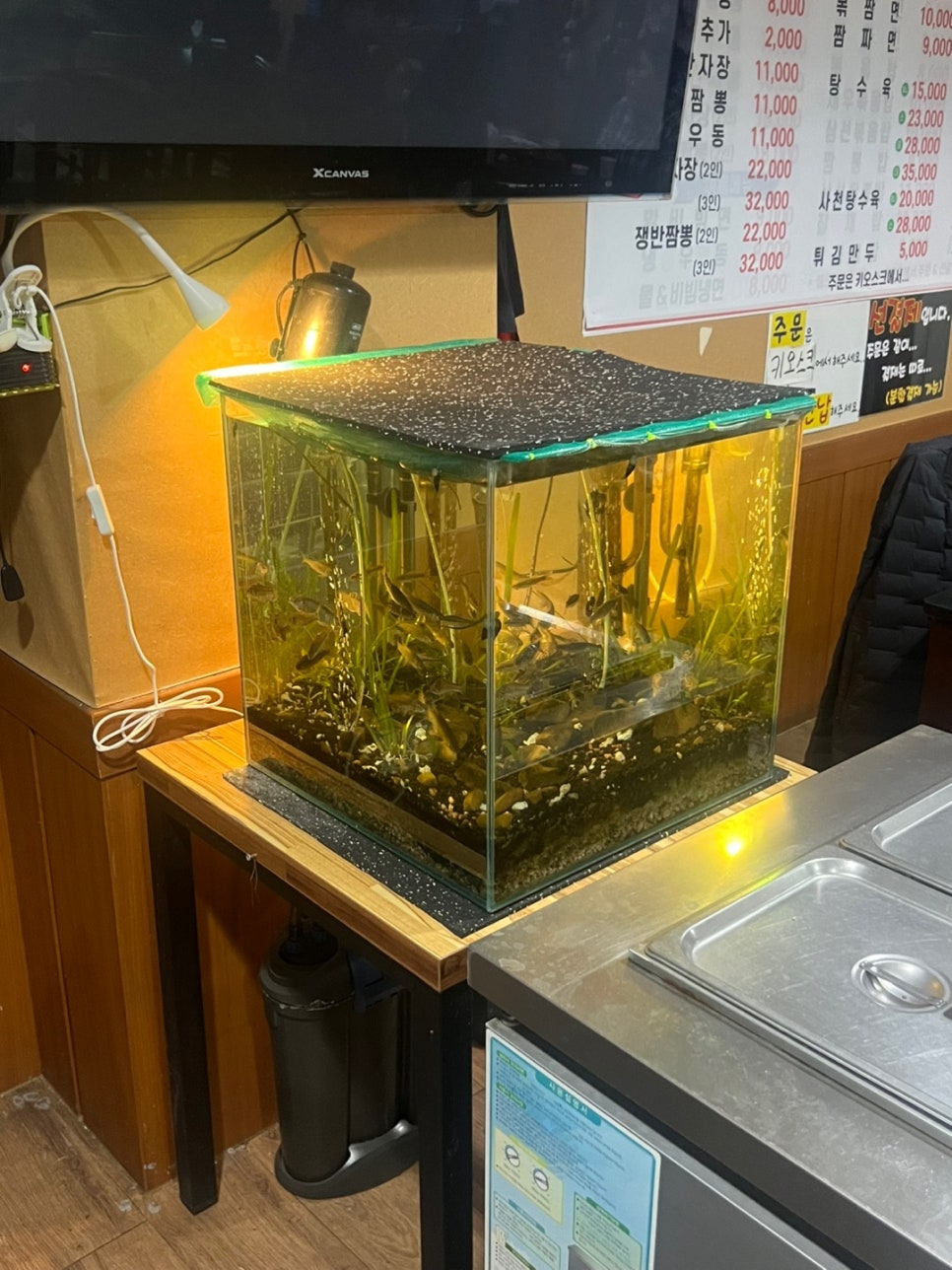 진시왕 사진 4