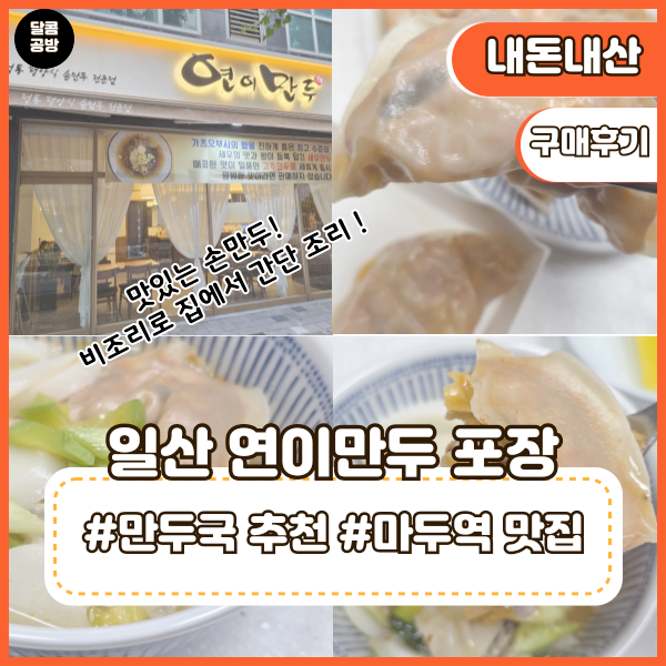  일산 연이만두 포장 만두국 강력추천