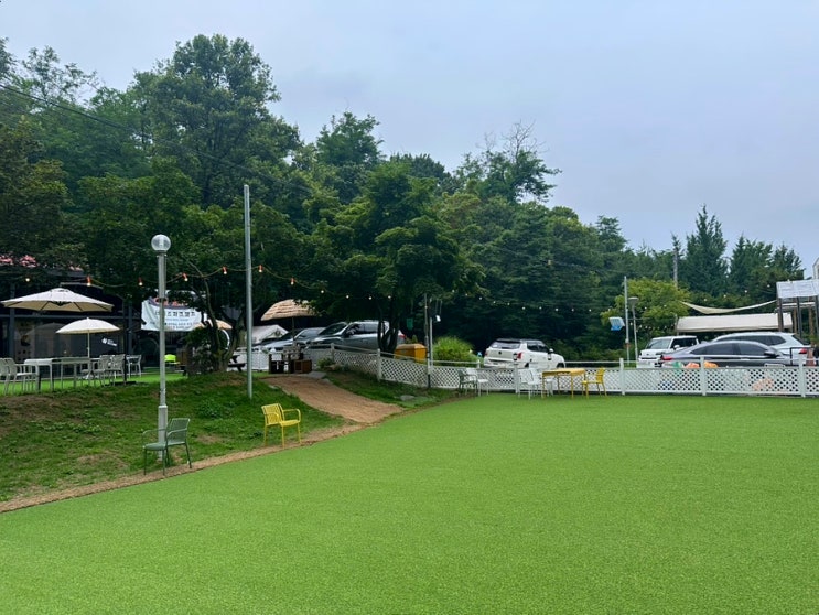  용인 애견카페 '테일즈파크' 용인 반려견운동장 재재재x5 방문 후기
