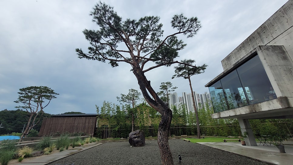 이소고택 동해점 사진 4