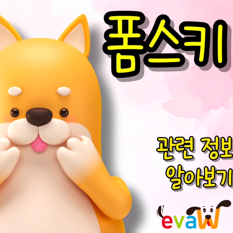  폼스키 후기부터 특징, 성격, 세대별 차이 한눈에 정리
