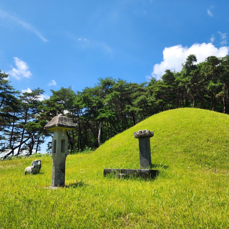  상주 전사벌 왕릉 후삼국시대 사벌국 왕릉 경북 여행지 상주 가볼만한 곳
