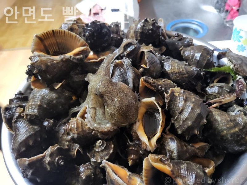 사진 2