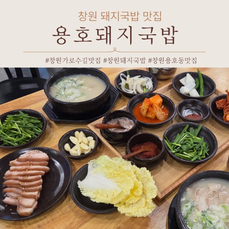  창원 돼지국밥 추천 국밥러버가 추천하는 용호돼지국밥