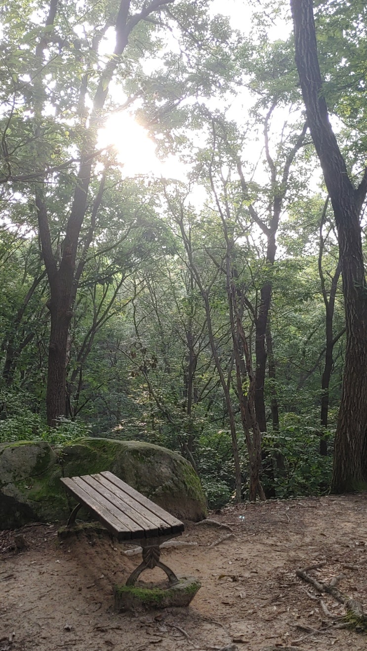 오늘아침, 설봉산의 푸르름을 보며...