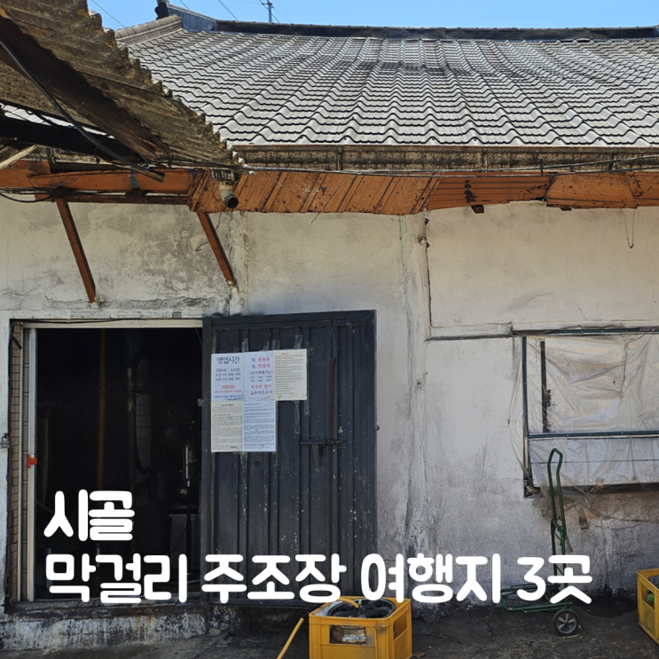  시골 막걸리 주조장 여행지 3곳 마을에서 빚은 술 이야기
