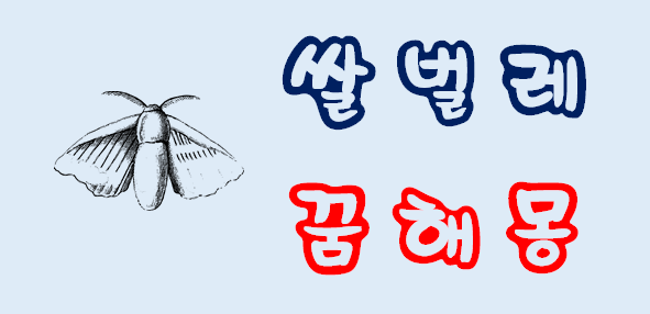 [쌀벌레꿈] 쌀벌레꿈해몽