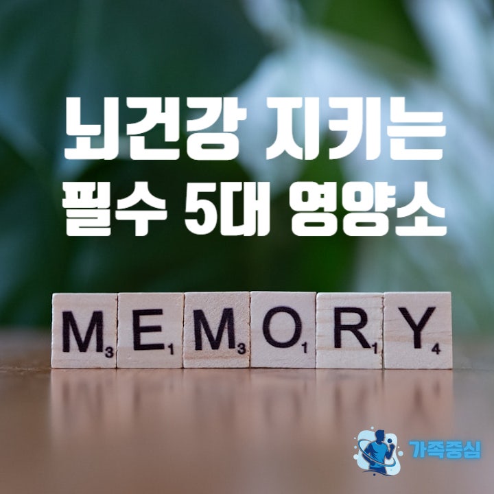  부모님 뇌건강 영양제 추천. 기억력 향상을 위해 꼭 알아야할 5가지 영양. (클리블랜드 클리닉)