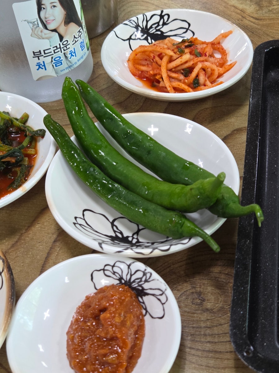 수목원가든 사진 6