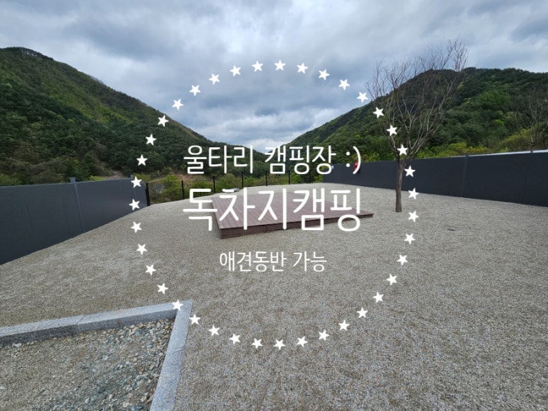 사진 15