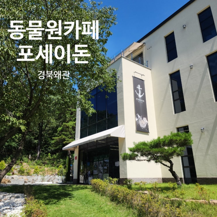 동물이 있는 경북 카페 포세이돈 아기랑 놀기 좋은 카페 뷰맛집