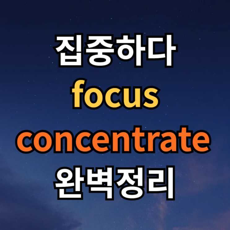  focus on / concentrate on 차이 뜻 예문