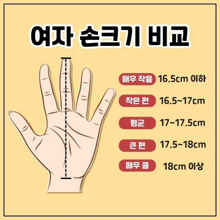  남자 여자 평균 손크기, 내 손은 어느 정도일까?