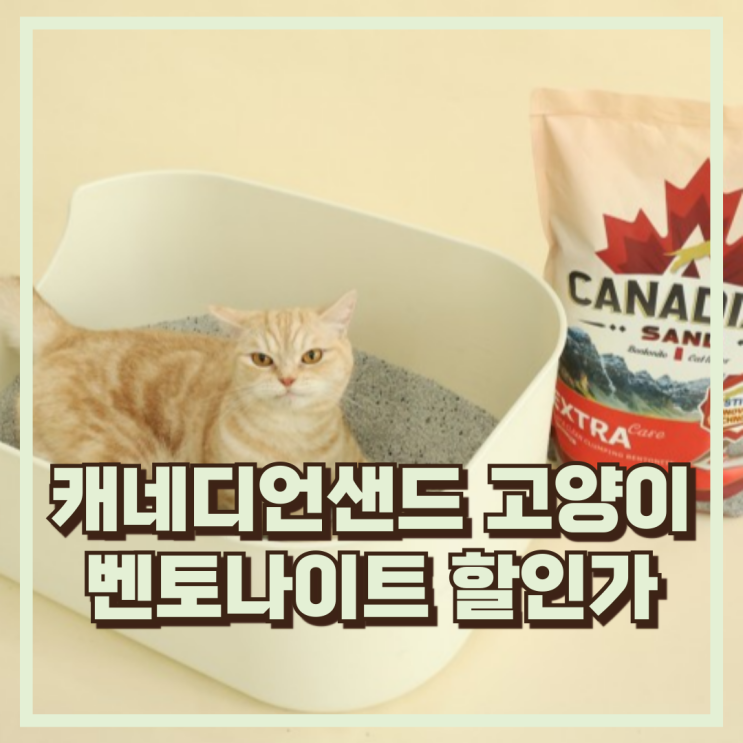  민감묘도 OK! 캐네디언샌드 벤토나이트 고양이모래 8kg, 2개 추천, 할인가
