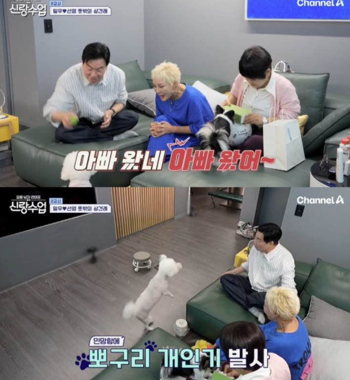  김일우박선영, 반려견이 먼저 알아봤다?!“밤에 몰래 왔어요?” 조혜련의 돌직구 의심ㅋㅋ