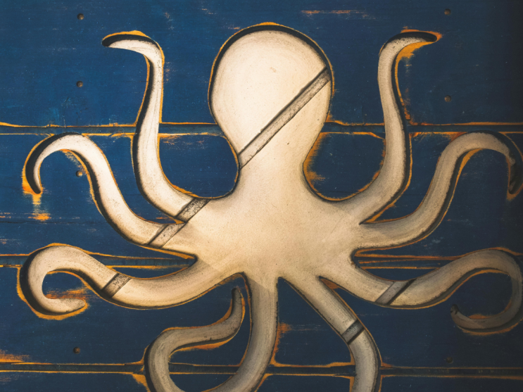  주꾸미낚시 포인트별 완벽정리 | 시즌·특징·출조팁