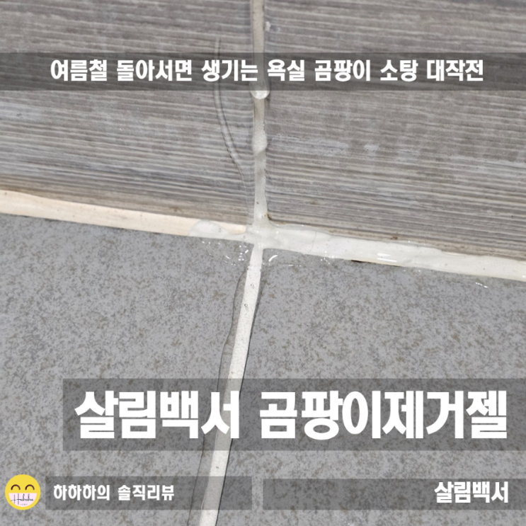  여름 욕실 실리콘 곰팡이 없애는법, 살림백서 세제 편