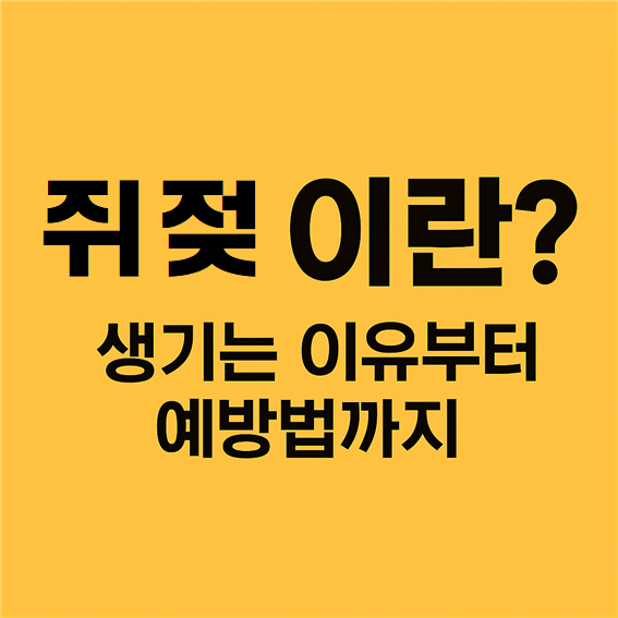  쥐젖 생기는 이유부터 없애는 방법, 예방법까지 정리