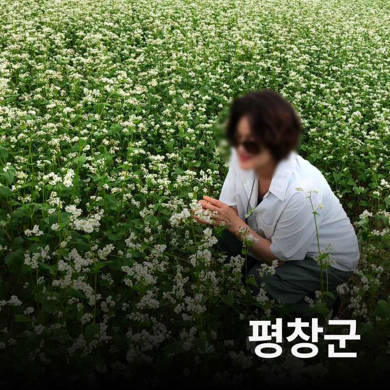 대관령 하늘목장