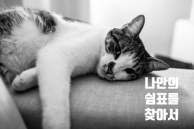  넷플릭스만 보다 끝난 주말, 나만의 쉼표를 찾는 법