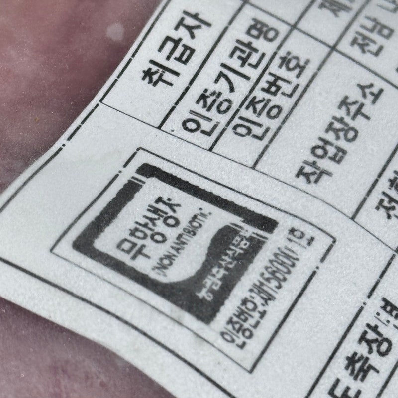 사진 6