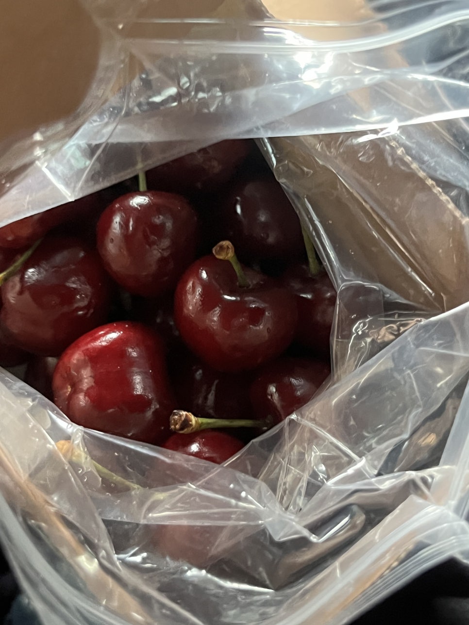 산가원펜션 사진 3