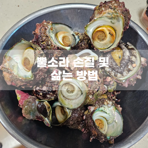 뿔소라 손질 및 숙회로 삶는 방법